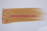 Clip in hair extension